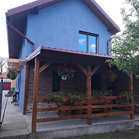 Casa Rustica Saceleana Vila Exterior foto