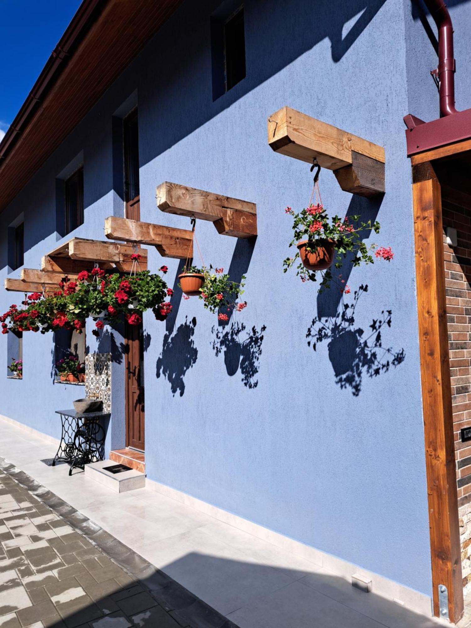 Casa Rustica Saceleana Vila Exterior foto