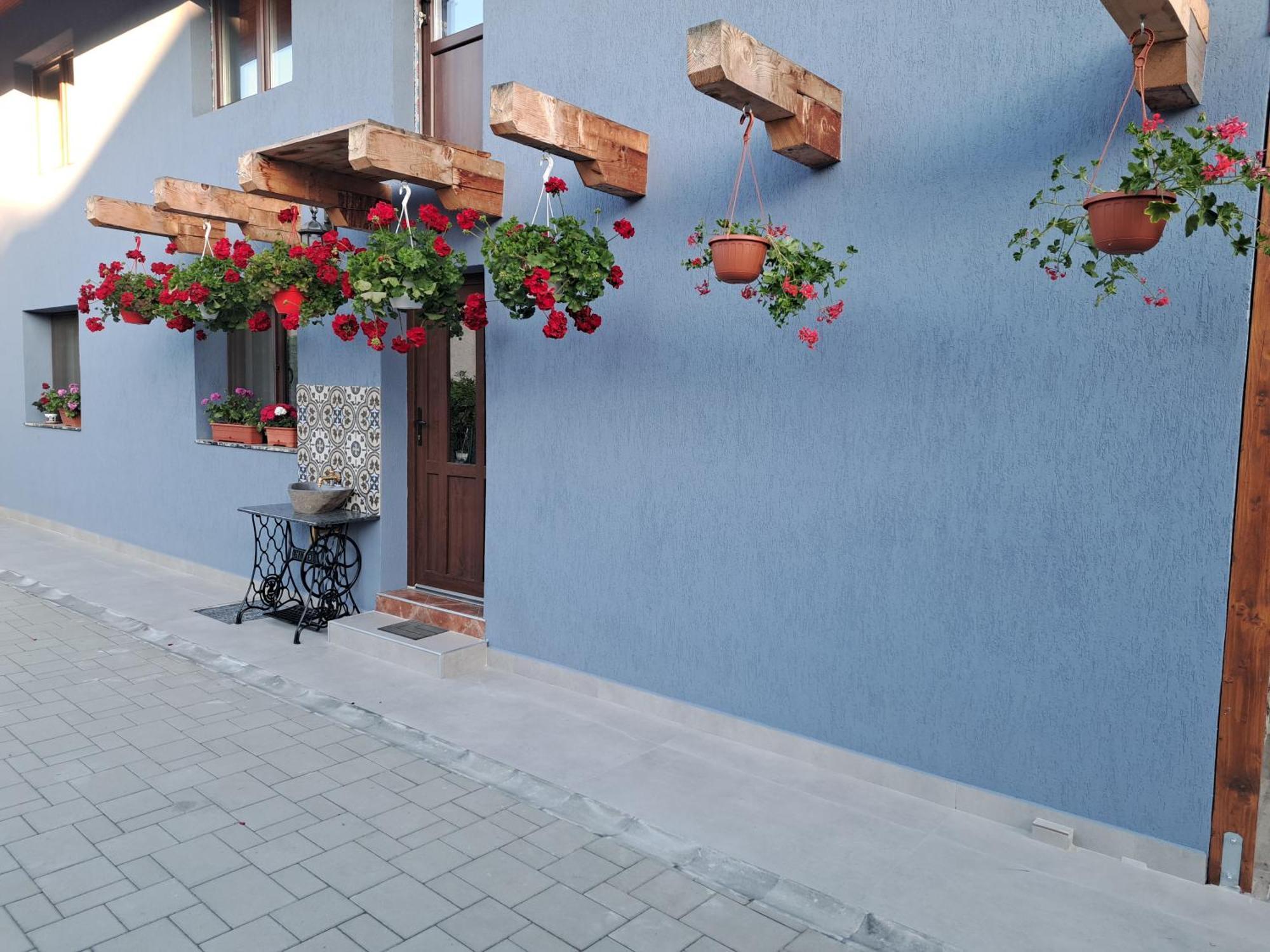Casa Rustica Saceleana Vila Exterior foto